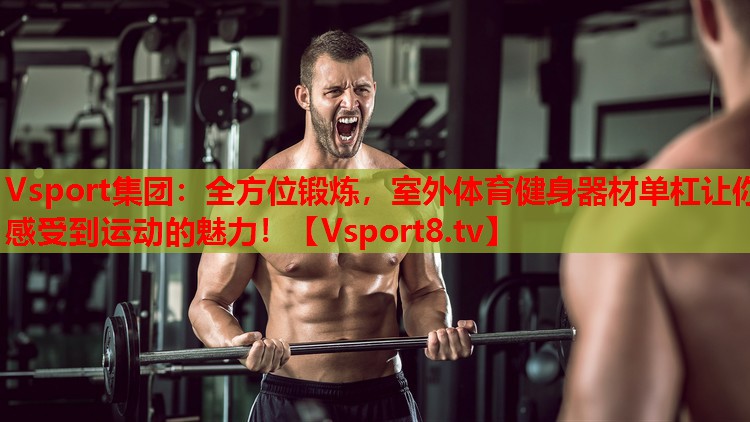 Vsport集團(tuán)：全方位鍛煉，室外體育健身器材單杠讓你感受到運(yùn)動的魅力！